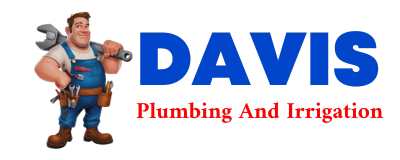 Trusted plumber in CURTIS